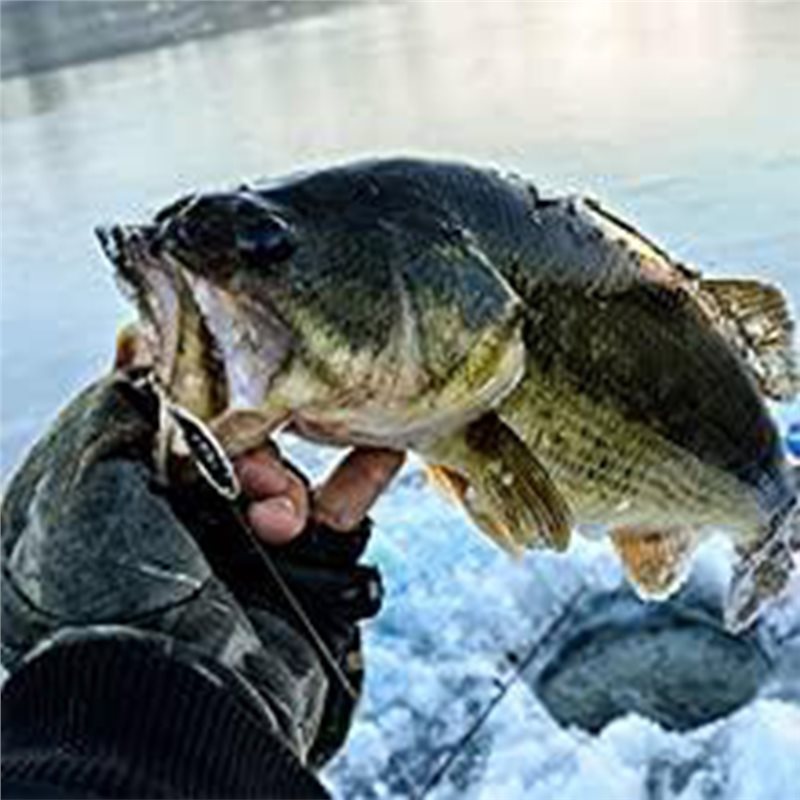 Fishing Boat Depth Finder - ABLB-Kayak Boot Fischfinder-Transducer Tragbarer Fisch-Tiefenmesser Wasser-Handsonar